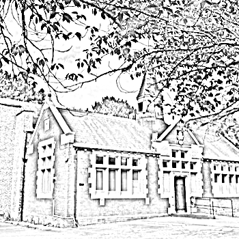 pencilsketchadjusted-7904848